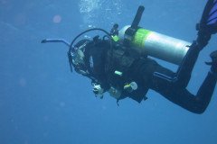 IMG_1932-.Medium