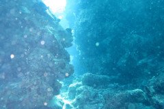 IMG_1938-.Medium