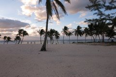 IMG_1960-.Medium