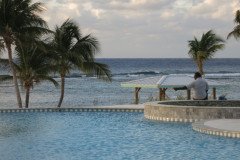 IMG_1965-.Medium