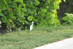 IMG_1969-.Medium