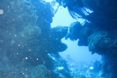 IMG_1978-.Medium