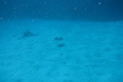 IMG_1982-.Medium