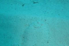 IMG_1983-.Medium