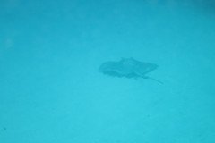 IMG_1984-.Medium