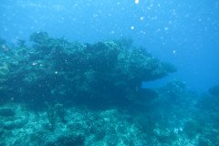 IMG_1987-.Medium