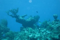 IMG_1989-.Medium