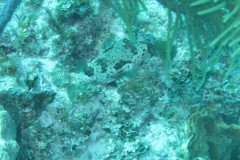 IMG_1990-.Medium