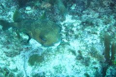 IMG_1994-.Medium
