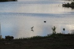 IMG_1995-.Medium