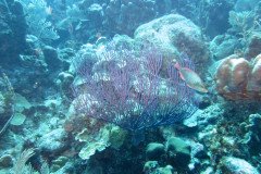 IMG_1999-.Medium