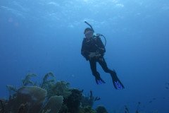 IMG_2002-.Medium