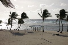 IMG_2020-.Medium