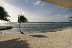 IMG_2021-.Medium