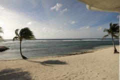 IMG_2022-.Medium