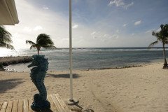 IMG_2023-.Medium