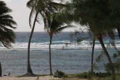 IMG_2025-.Medium