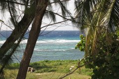 IMG_2026-.Medium