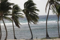 IMG_2027-.Medium