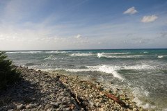 IMG_2031-.Medium