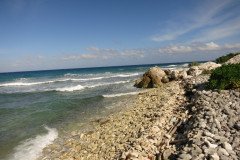 IMG_2032-.Medium