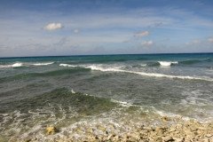 IMG_2034-.Medium