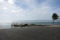 IMG_2040-.Medium