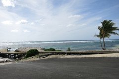 IMG_2041-.Medium