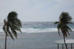 IMG_2043-.Medium