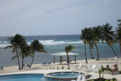 IMG_2044-.Medium