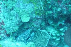 DSC00490-.Medium