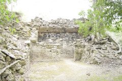 DSC00543-.Medium