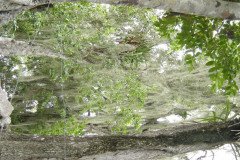 DSC00548-.Medium