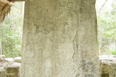 DSC00563-.Medium