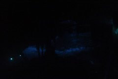 DSC00599-.Medium