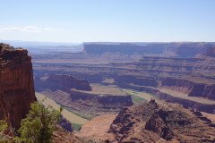 DSC00250-Medium