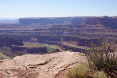 DSC00257-Medium