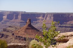 DSC00262-Medium
