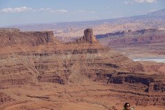DSC00266-Medium