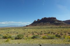 DSC00267-Medium