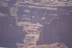 DSC02989-Medium