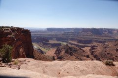 DSC02991-Medium
