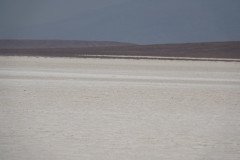 DSC03775-.Medium