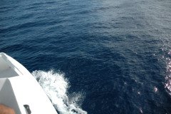 DSC_1434-.Medium