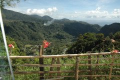 DSC_1438-.Medium