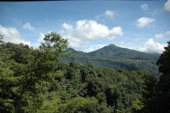 DSC_1442-.Medium