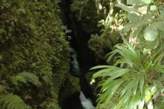 DSC_1443-.Medium