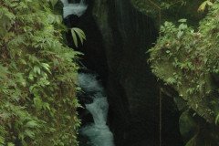 DSC_1444-.Medium