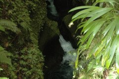 DSC_1445-.Medium