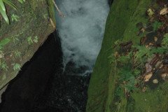 DSC_1449-.Medium